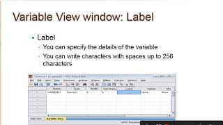 Introduction to EViews and SPSS