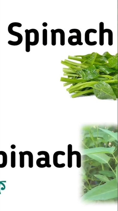 name-of-vegetables-in-english-and-bengali-vegetables-name-in-bengali