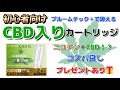 【電子タバコ】初心者向け！プルームテック＋用CBD入り互換カートリッジ！CBDが何かって？まずは吸ってみたらいいじゃない♪