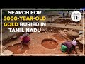 Search for 3000yearold gold buried in tamil nadu  the hindu