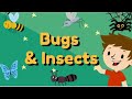 Guessing game  bugs  insects   guess the  bugs  insectsesl game for kids  