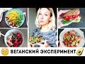 ПРОБУЮ БЫТЬ ВЕГАНОМ ДВЕ НЕДЕЛИ часть 1🌟Olya Pins