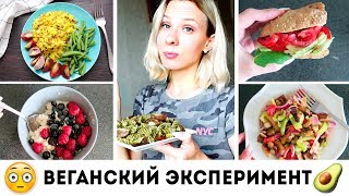 ПРОБУЮ БЫТЬ ВЕГАНОМ ДВЕ НЕДЕЛИ часть 1🌟Olya Pins