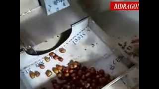 how to pit dates, date pitting machine, pitting dates, how to pit a date--Bidragon Machinery Co.Ltd