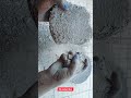 Pure Mud × White Concrete Sand 🤍 | Clean ASMR