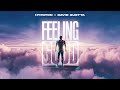 Hypaton x david guetta  feeling good lyric