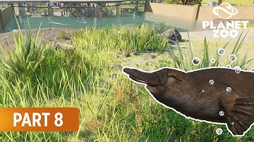 Oceania Park Part 8 | Platypus | Speed Build in Franchise Mode | Planet Zoo