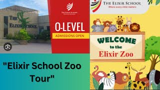 Exploring Elixir School: A Journey Through Its Unique Zoo