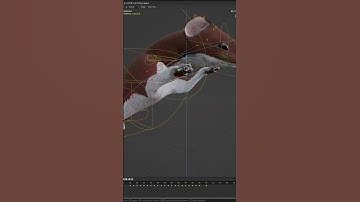 Animating an Ermine with Blender