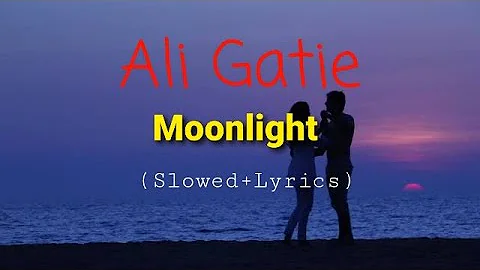 Ali Gatie - Moonlight Lyrics [Slowed]