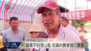 滿州千人慶農民節促銷宣傳在地農特產2017-06-16 TITV 原視新聞