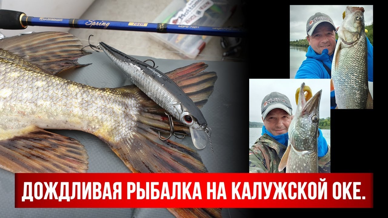 Пирочи рыбалка на оке
