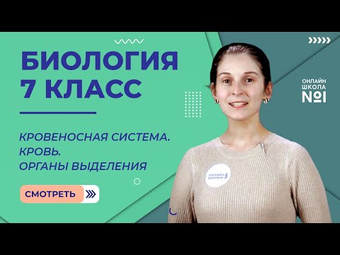 Кровеносная система. Кровь. Органы выделения. Видеоурок 31. Биология 7 класс