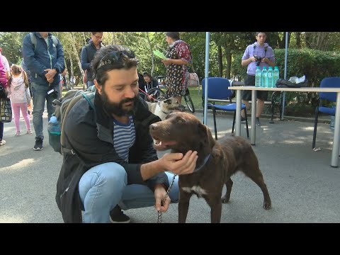 Видео: Общувайте кученца, преди да е станало твърде късно