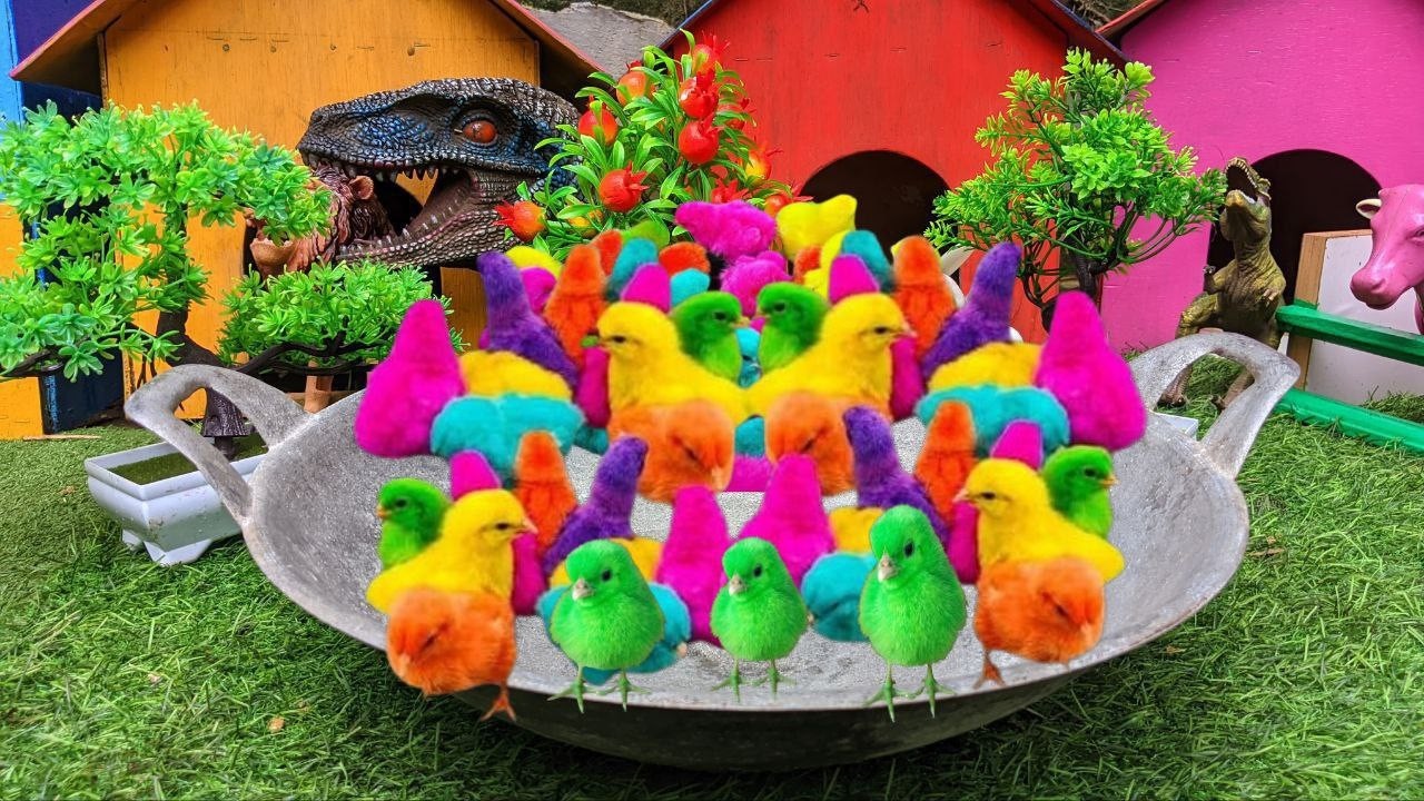RAINBOW CHICKS AND FLUFFY BUNNY CUTE FARM ADVENTURE