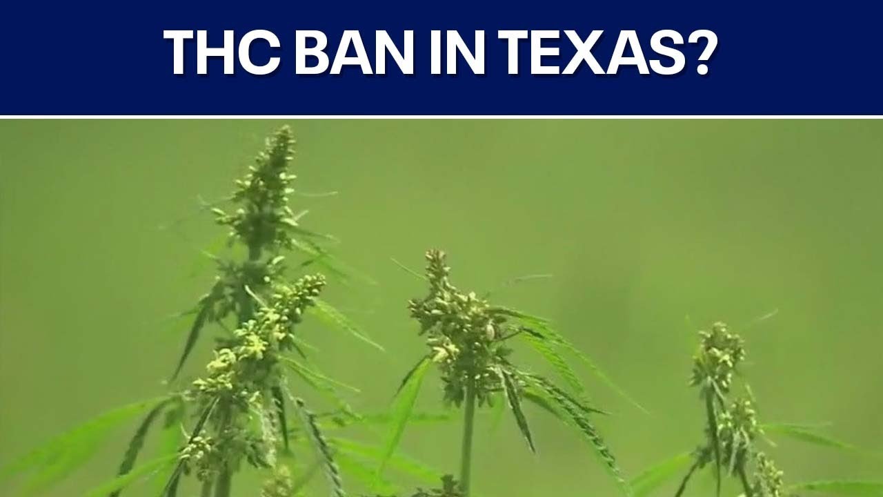 Texas lawmakers discuss THC regulation in Special Session | FOX 7 Austin