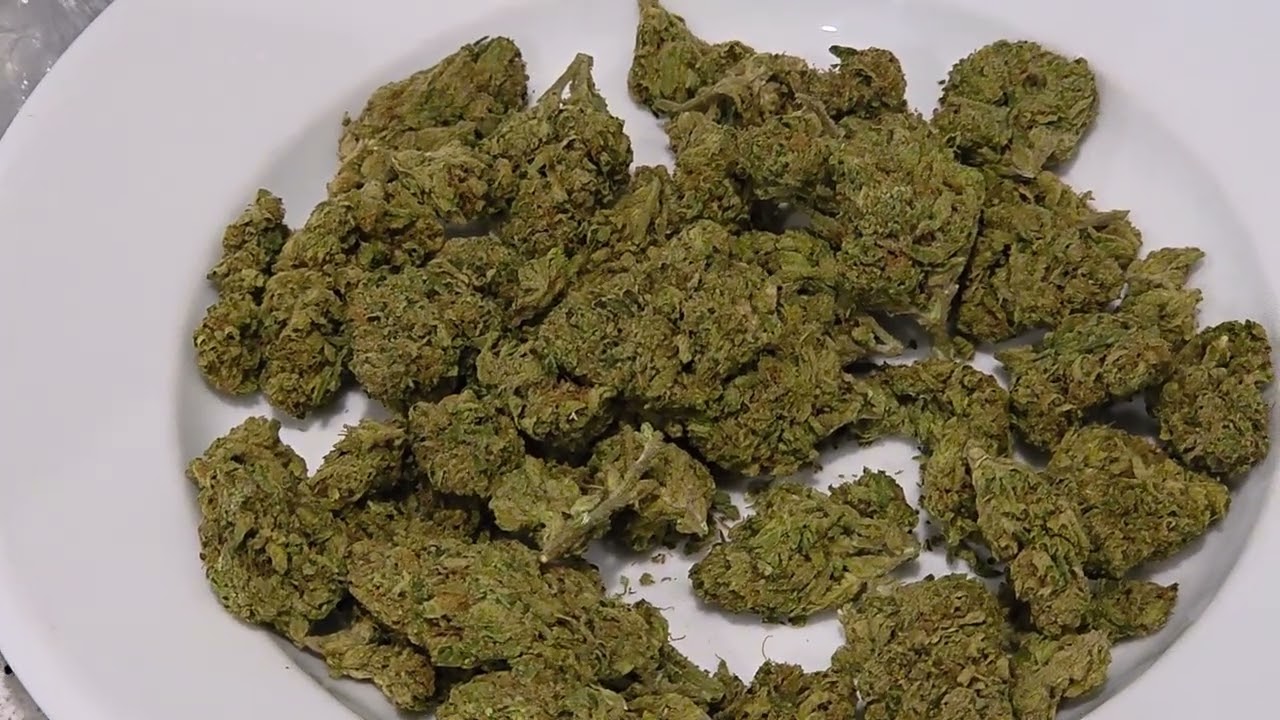 Обзор THCA SMALL BUD от Гари Пэйтона