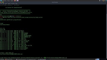 Apache Struts 2 RCE (CVE-2013-2251) ft. European Union