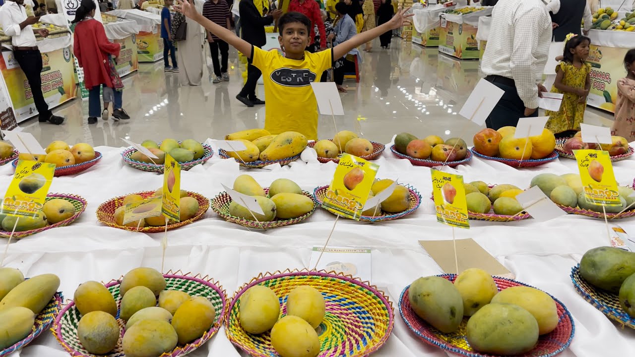 Mango Festival per Ponch gey | Delicious Export Quality Mango Varieties | Doctor Bhai Vlogs |
