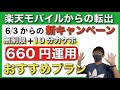 【月額660円】「データ無制限＋10分かけ放題」が利用できるオススメの格安プランとは？【楽天モバイル】【楽天解約】【格安SIM/MVNO】【マイネオ/mineo/マイそく】