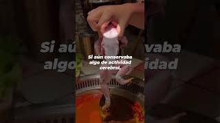 Imagina que te mutilan, te arrancan la piel y te obligan a caer en un caldo hirviendo 💔
