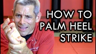 How to Palm Heel Strike Without Breaking Your Wrist!