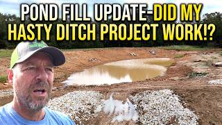 New DIY Pond Fill Update after heavy rains! Did my new Water Collection Ditch Work?