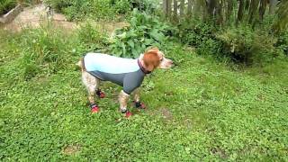 Merlin in Cloud Chaser Coat from waggle.com.au screenshot 4