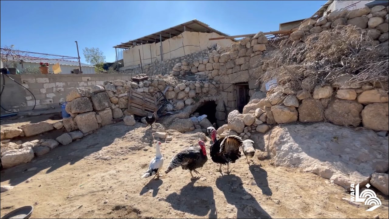 مسافر يطا.. لا سبيل إلا الصمود