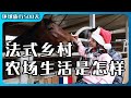 法式农场生活是怎样?超适合亲子住的农场民宿体验|科尔马小镇原来夜晚才童话|法国圣诞集市经典美食|中餐厅节目同款餐厅|三代人占据山头的法国农场