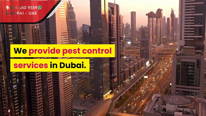 Pest Control Dubai | 0563509559