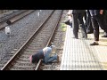 東武佐野線の田島駅〜佐野市駅で人身事故が発生【リアルタイム速報】