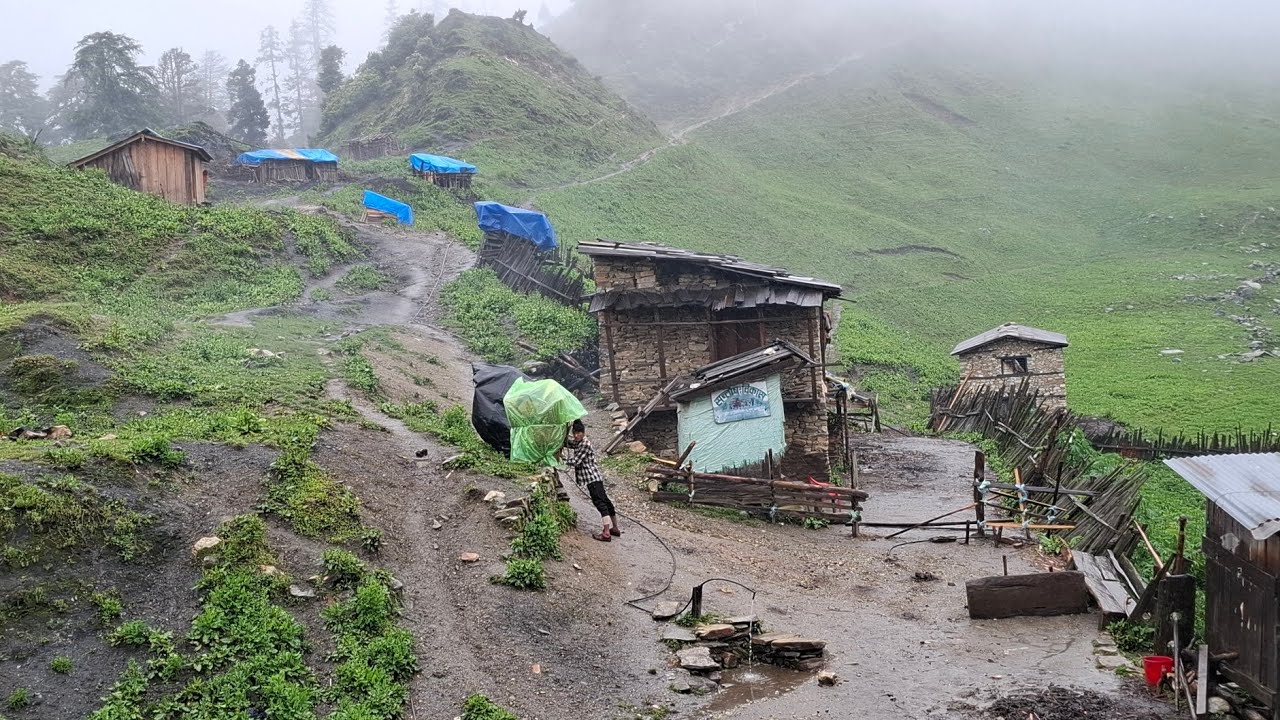 This is Naturally Beautiful Village Life During The Rainy Season || Organic Food Cooking ||
