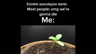 pvz meme from reddit