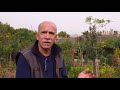 Juan A. Hdez: “Bosque productivo y comestible”. Asociación Domitila Hdez. El Tablero-Tenerife