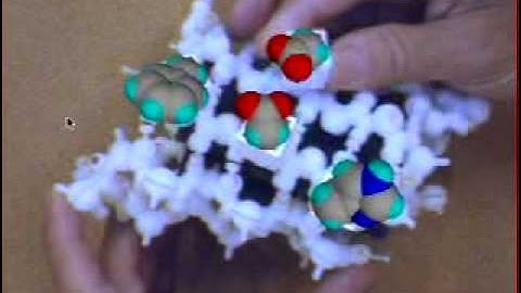 Tangible Interfaces for Molecular Biology