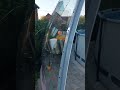 Купол для бассейна своими руками  7 метров