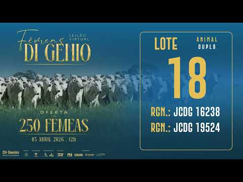 LOTE 18 JCDG 16238 19524