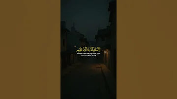 والملائكة يدخلون عليهم سورة الرعد الشيخ مصطفي إسماعيل 