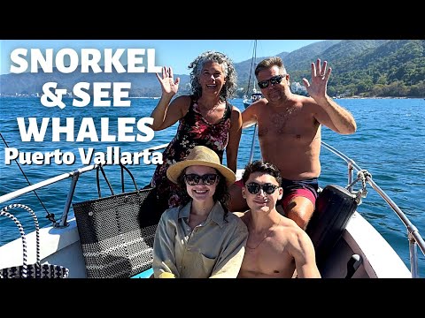 Video: Qhov Mus Snorkeling hauv Puerto Vallarta