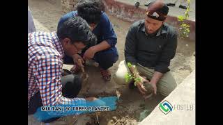 Foster Learning Pakistan Fellows Tree Plantation