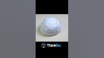 Brain Model | ThinkTac #shorts #youtubeshorts