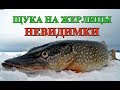 ЛОВЛЯ ЩУКИ НА ПОДЛЁДНЫЕ ЖЕРЛИЦЫ-НЕВИДИМКИ