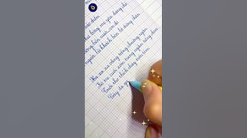 Bút viết bài luyện chữ Dễ dùng S206 ngòi kim tinh êm trơn #luyenchudep