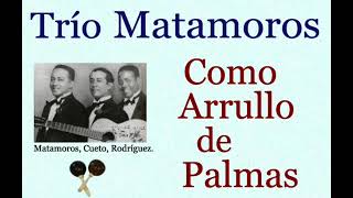 Video thumbnail of "Trío Matamoros: Como Arrullo de Palmas - (letra y acordes)"