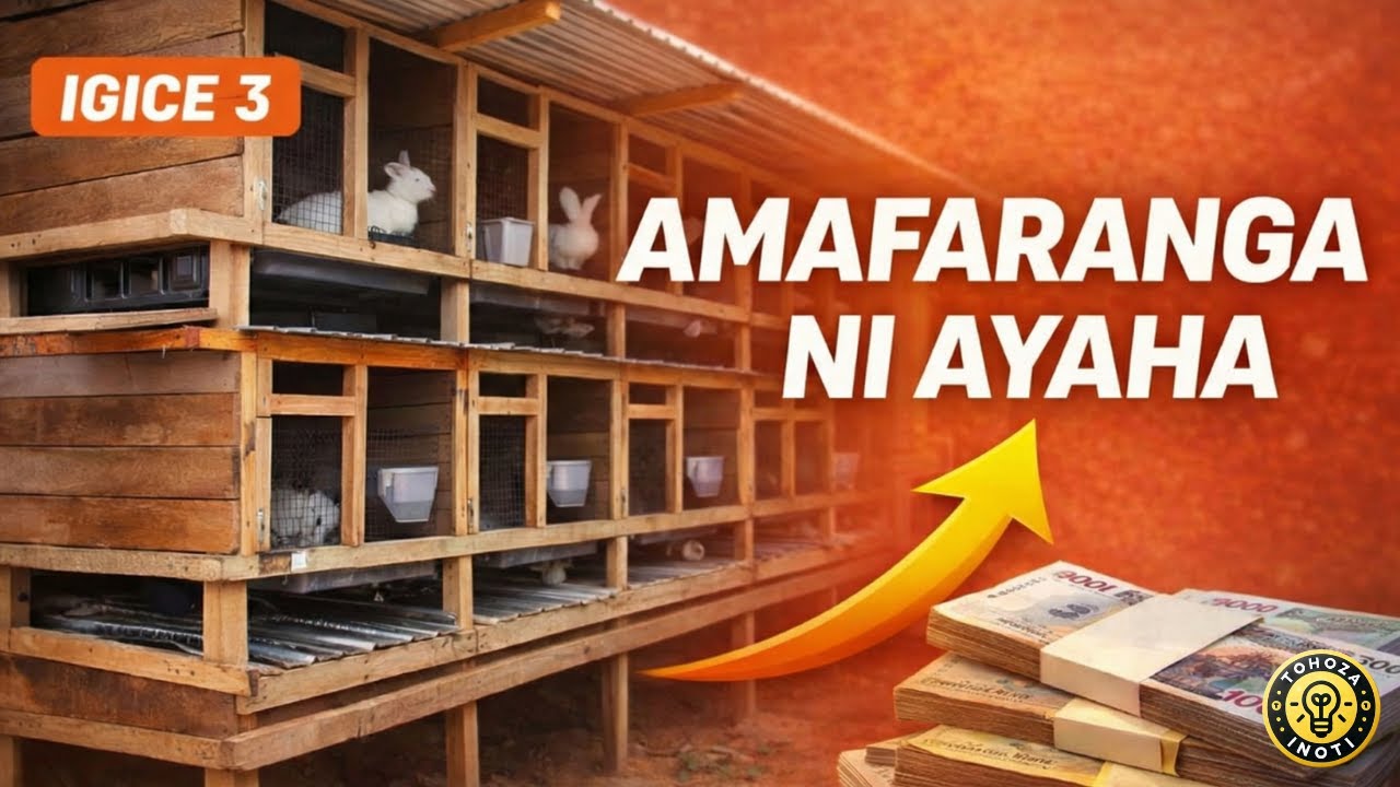 Ibiraro by'Inkwavu bya Kijyambere: Isuku, Umutekano & Inyungu (Igice 3)