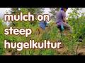 mulch techniques for a steep sided hugelkultur