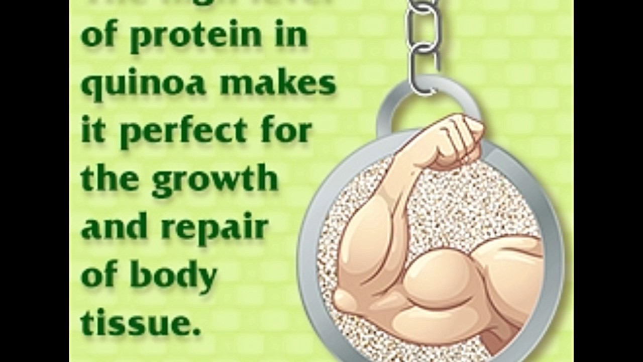 Summary of the Nutrition Facts and Health Benefits of Quinoa YouTube