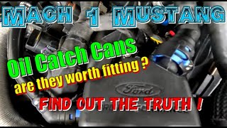 Mustang Mach 1 - Oil collectors / Catch Cans - are they worth fitting - find out the truth !