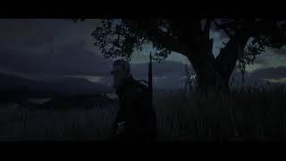 A Cerberus Project - Red Dead Redemption 2 Mercenary Crew.